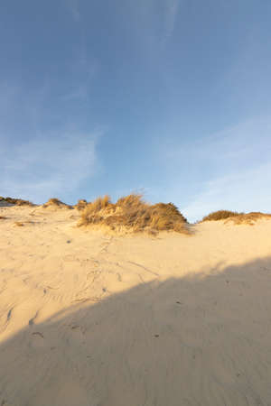 DoÃ±ana is a Spanish protected natural area located in the provinces of Huelva, Seville and Cadiz,...