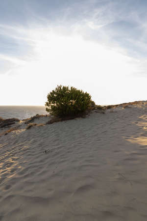 Spain's longest coastline is the coast of Huelva. From Matalascanas to Ayamonte. Coast with cliffs,...