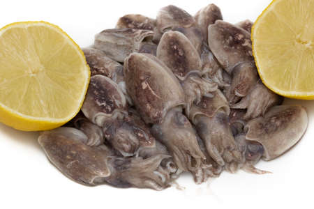 Raw baby squid and two slices of lemons on a white background. Sea food concept.
