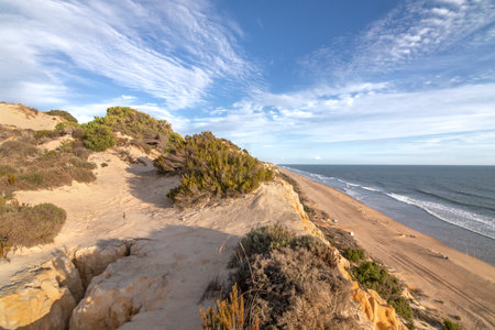 El Arenosillo beach is characterized by being a virgin beach of fine, golden sand. Its cliffs make it unique. Pure nature, full of pine trees and native vegetation.の写真素材