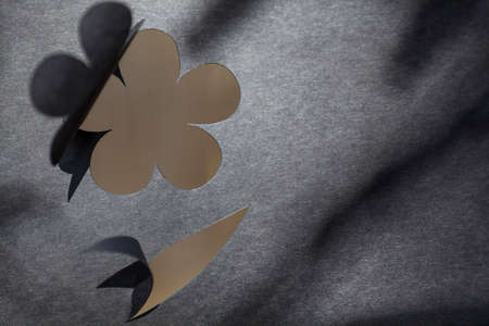 Flower paper cardの写真素材