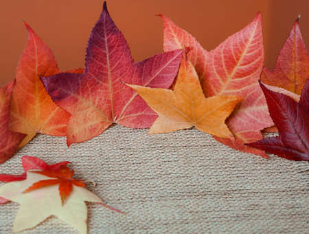 Fall Leavesの写真素材