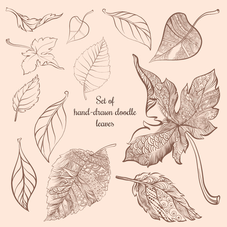 Set of various doodle hand-drawn fallen leavesのイラスト素材