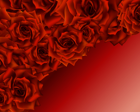 Beautiful romantic card for valentine s day or wedding, red roses background, place for you text.のイラスト素材