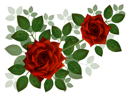 Bouquet of beautiful red roses and leaves. Floral arrangement for decoration, perfect for weddimg invitation, birthday, Valentines Day, mother s day.のイラスト素材