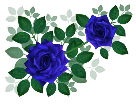 Bouquet of beautiful blue roses and leaves. Floral arrangement for decoration, perfect for wedding invitation, birthday, Valentines Day, mother s day.のイラスト素材