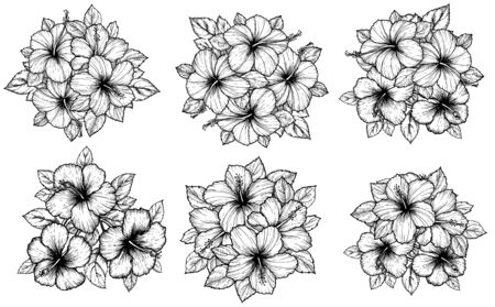 Hand drawn tropical hibiscus flower bouquet with leaves. Sketch florals on white background. Exotic blooms, engraving style for textile, surface design or banner. Great template for coloring bookのイラスト素材