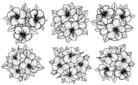 Hand drawn tropical hibiscus flower bouquet with leaves. Sketch florals on white background. Exotic blooms, engraving style for textile, surface design or banner. Great template for coloring bookのイラスト素材