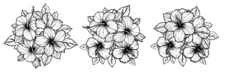 Hand drawn tropical hibiscus flower bouquet with leaves. Sketch florals on white background. Exotic blooms, engraving style for textile, surface design or banner. Great template for coloring bookのイラスト素材