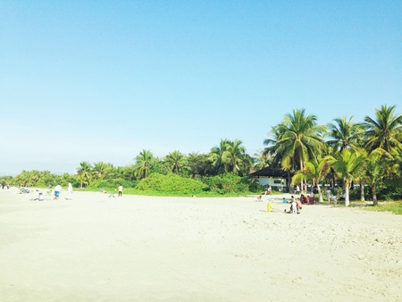 Summer at the beachの写真素材