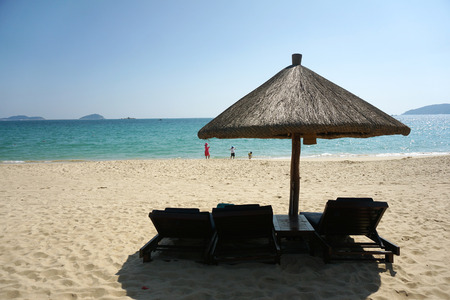 chairs and parasol at the beachの写真素材