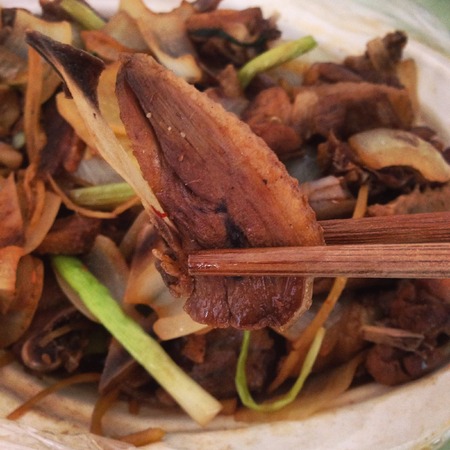 Jiaji Duckの写真素材