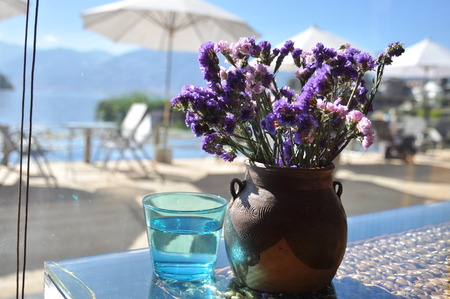 close up of flower and glass of waterの写真素材