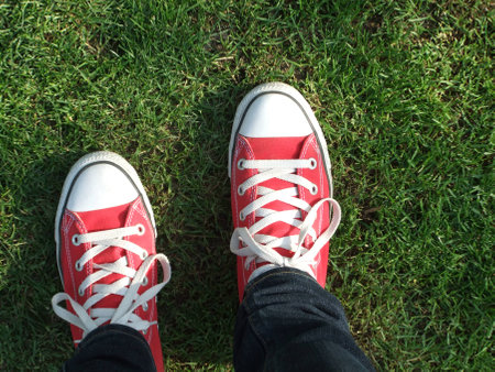 Pair of sneakersの写真素材