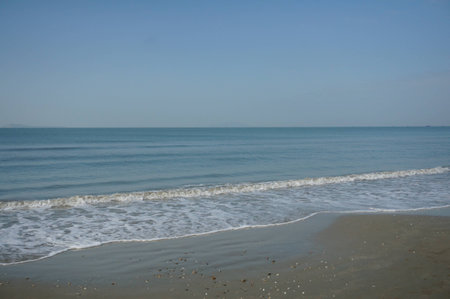 View of sandy beachの写真素材