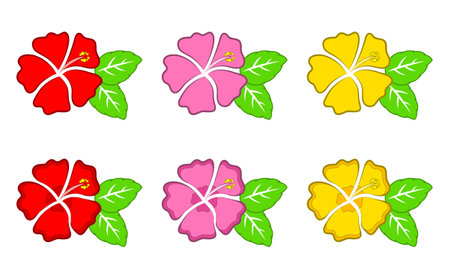 hibiscus illustration 3 color set with edgeのイラスト素材