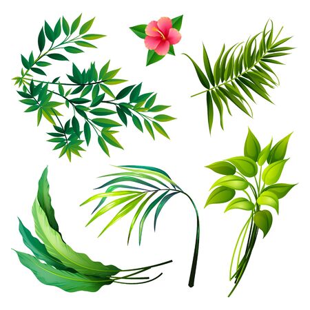 Set of Tropical Leaves Icons isolated on Whiteのイラスト素材