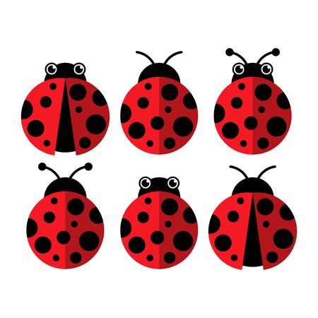 Set of Ladybug Icon Vector Illustration, isolated on Whiteのイラスト素材
