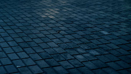Dark street wet asphalt reflections of rays in the water Abstract dark blue background smoke smog...