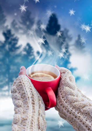 Red cup with coffee, tea in female hands on a snowy background, winter forest. A red cup in hands against the background of a winter forest landscape on soft, knitted sleeves. Coffee, tea on a woodenの写真素材