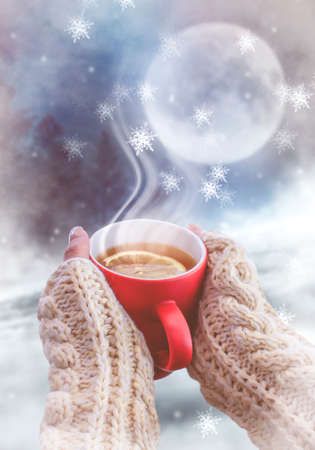 Red cup with coffee, tea in female hands on a snowy background, winter forest. A red cup in hands against the background of a winter forest landscape on soft, knitted sleeves. Coffee, tea on a woodenの写真素材