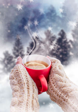 Red cup with coffee, tea in female hands on a snowy background, winter forest. A red cup in hands against the background of a winter forest landscape on soft, knitted sleeves. Coffee, tea on a woodenの写真素材