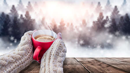 Red cup with coffee, tea in female hands on a snowy background, winter forest. A red cup in hands against the background of a winter forest landscape on soft, knitted sleeves. Coffee, tea on a woodenの写真素材