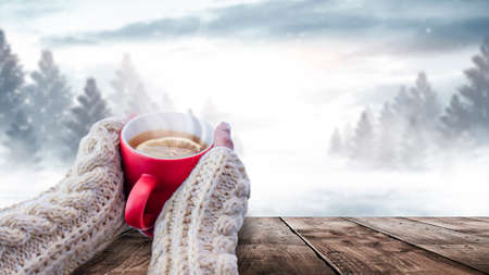 Red cup with coffee, tea in female hands on a snowy background, winter forest. A red cup in hands against the background of a winter forest landscape on soft, knitted sleeves. Coffee, tea on a woodenの写真素材