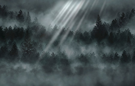 Foggy dark forest. Top view, fog, smog. Wild forest nature, forest landscape, landscape. Abstract...