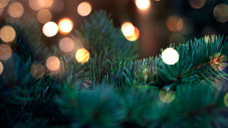 Branches of New Year's green tree with bokeh lights. Green festive background, golden bokeh. Narrow banner, festive background. Winter holiday background.の写真素材