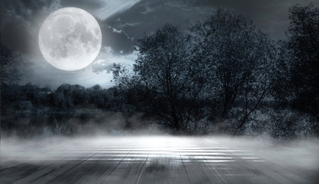 Dark abstract winter forest background. Wooden floor, snow, fog. Dark night background in the forest with moonlight. Night view, magic. Fantasy forest.の写真素材