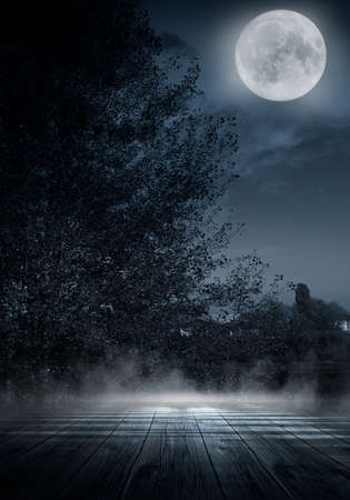 Dark abstract winter forest background. Wooden floor, snow, fog. Dark night background in the forest with moonlight. Night view, magic. Fantasy forest.の写真素材
