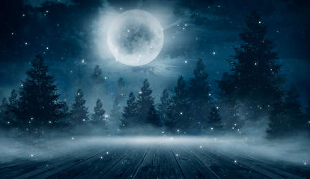 Dark abstract winter forest background. Wooden floor, snow, fog. Dark night background in the forest with moonlight. Night view, magic. Fantasy forest.の写真素材