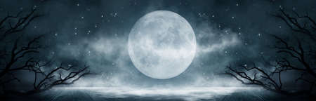 Dark abstract winter forest background. Wooden floor, snow, fog. Dark night background in the forest with moonlight. Night view, magic. Fantasy forest.の写真素材