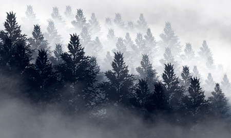 Dark abstract winter forest background. Wooden floor, snow, fog. Dark night background in the forest...