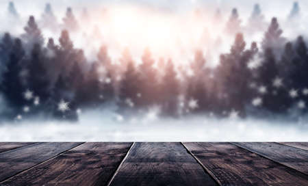 Dark abstract winter forest background. Wooden floor, snow, fog. Dark night background in the forest with moonlight. Night view, magic. Fantasy forest.の写真素材