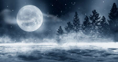 Dark abstract winter forest background. Wooden floor, snow, fog. Dark night background in the forest with moonlight. Night view, magic. Fantasy forest.の写真素材
