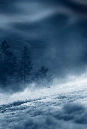 Dark abstract winter forest background. Wooden floor, snow, fog. Dark night background in the forest with moonlight. Night view, magic. Fantasy forest.の写真素材
