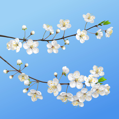 Spring flowers designのイラスト素材