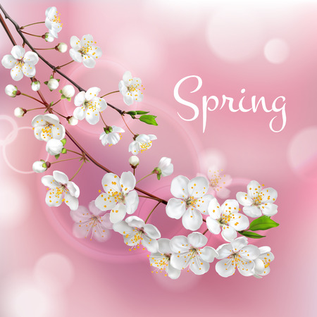 Blossoming tree branches. Spring templateのイラスト素材
