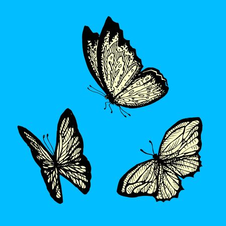 Flying butterfly on a blue background.のイラスト素材