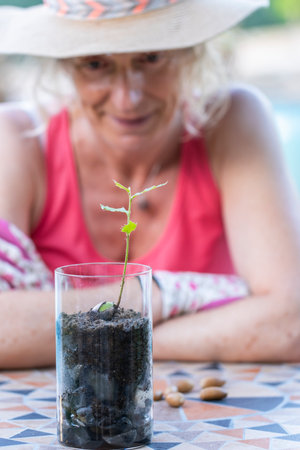Gardener admiring a small holly oak sprout growing in a glass vaseの写真素材