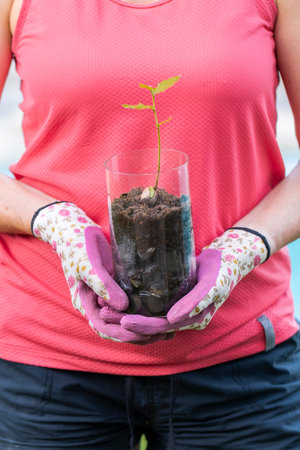 Gardener holding a glass jar with a growing oak saplingの写真素材