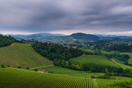 Oltrepo Pavese landscape with wineyards and Montalto castle in a cloudy dayの写真素材