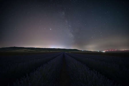 Milky Way and stars on beautiful lavender field in Basilicataの写真素材