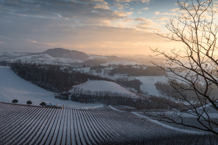 Winter landscape of Oltrepo Pavese at sunset with Montalto castle on the background and vineyardsの写真素材