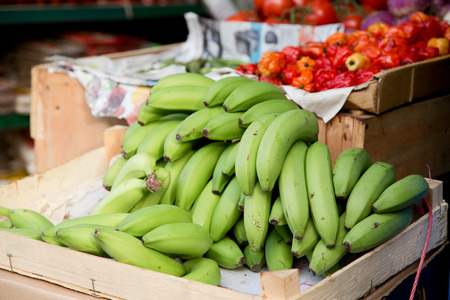 fresh plantains.の写真素材