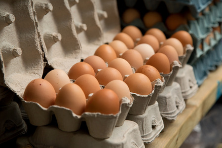 fresh eggsの写真素材