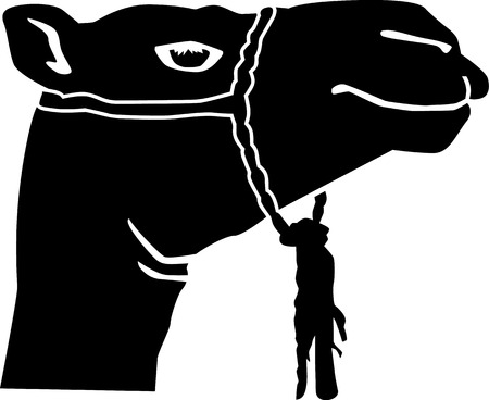 Camel headのイラスト素材