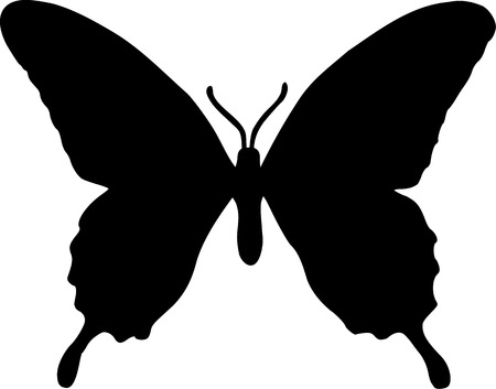 Real Butterfly Silhouetteのイラスト素材